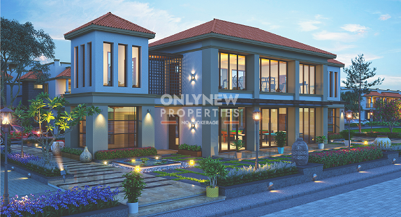 onlynew