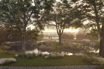 The Creek